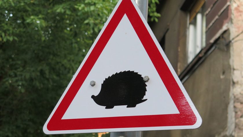 New signs warning drivers to be aware of wildlife set to appear on UK roads